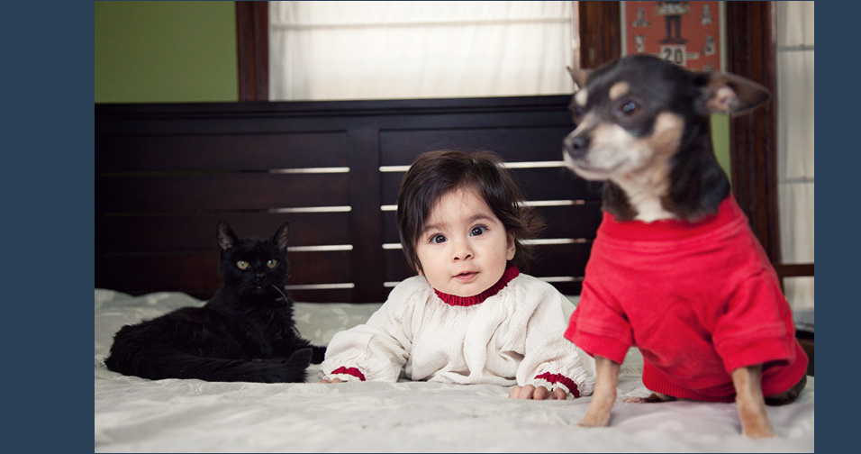 little girl with pets - child and family photography california