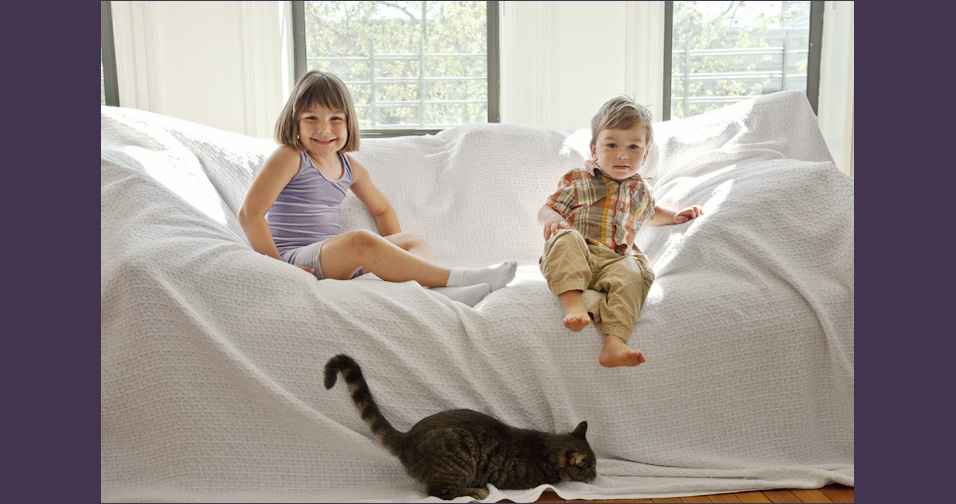 siblings, cat - nyc family photography