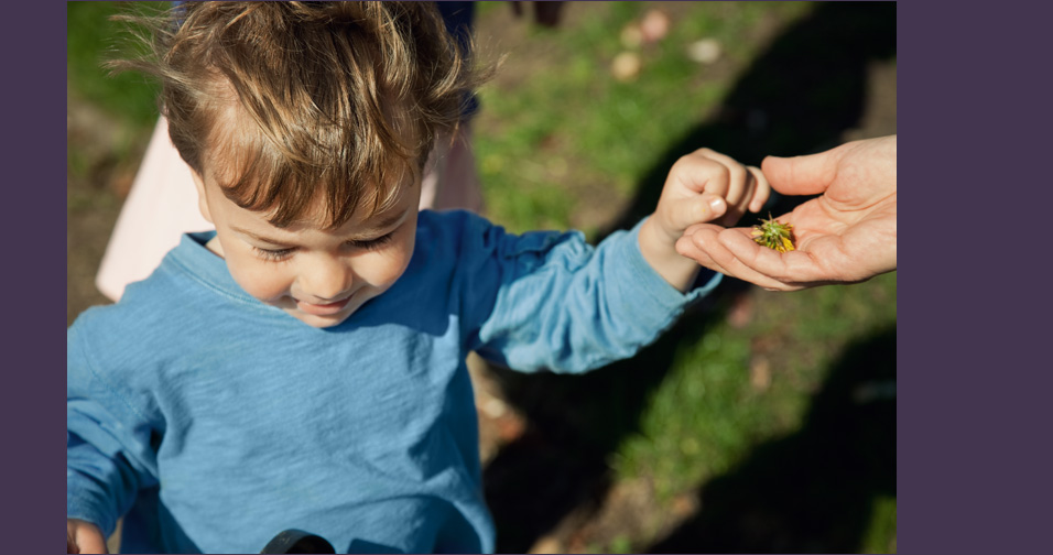 little boy with flower - family photography brooklyn