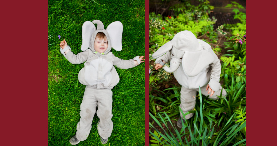 boy in elephant costume - santa monica family and child photographer