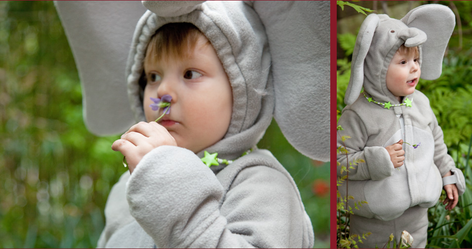 little boy smelling flower - family and child photography orange county